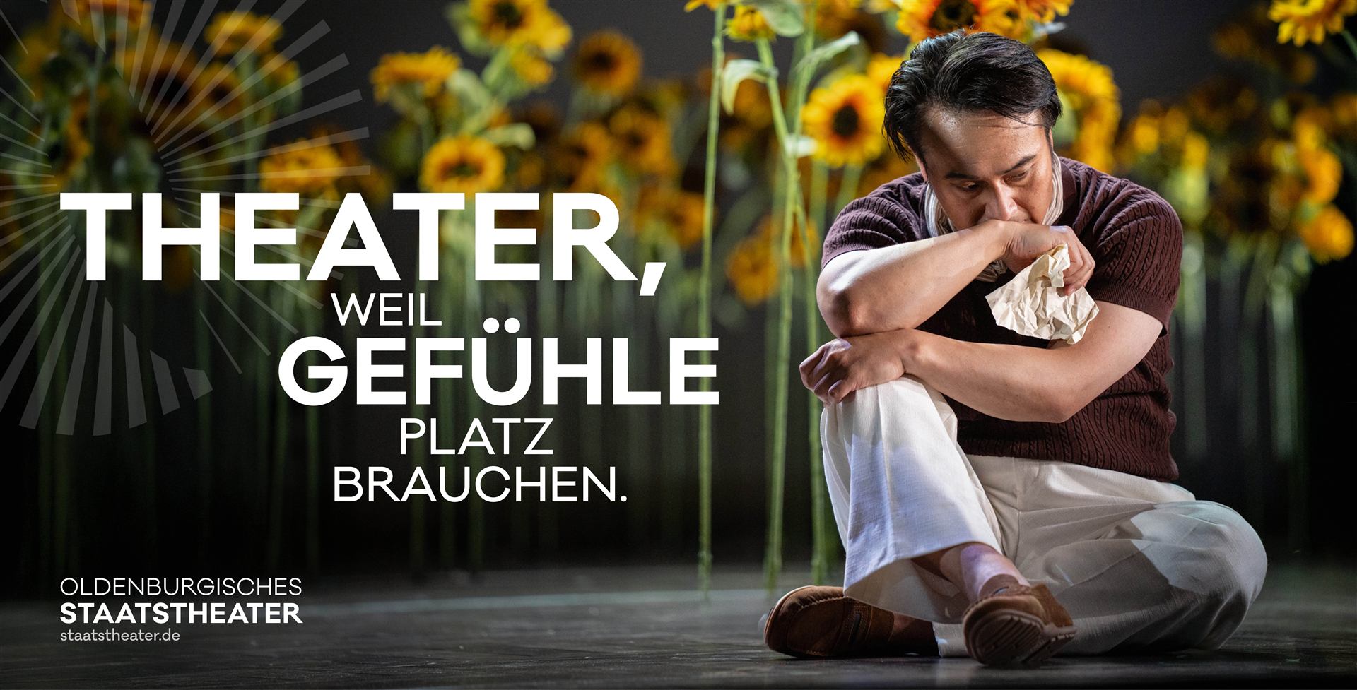 Oldenburgisches Staatstheater — Banner